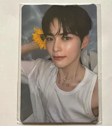 제로베이스원 손한빈 비니니