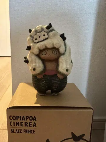 얇은 비단 제소 COPIAPOA MONSTER BLACK PRINCE