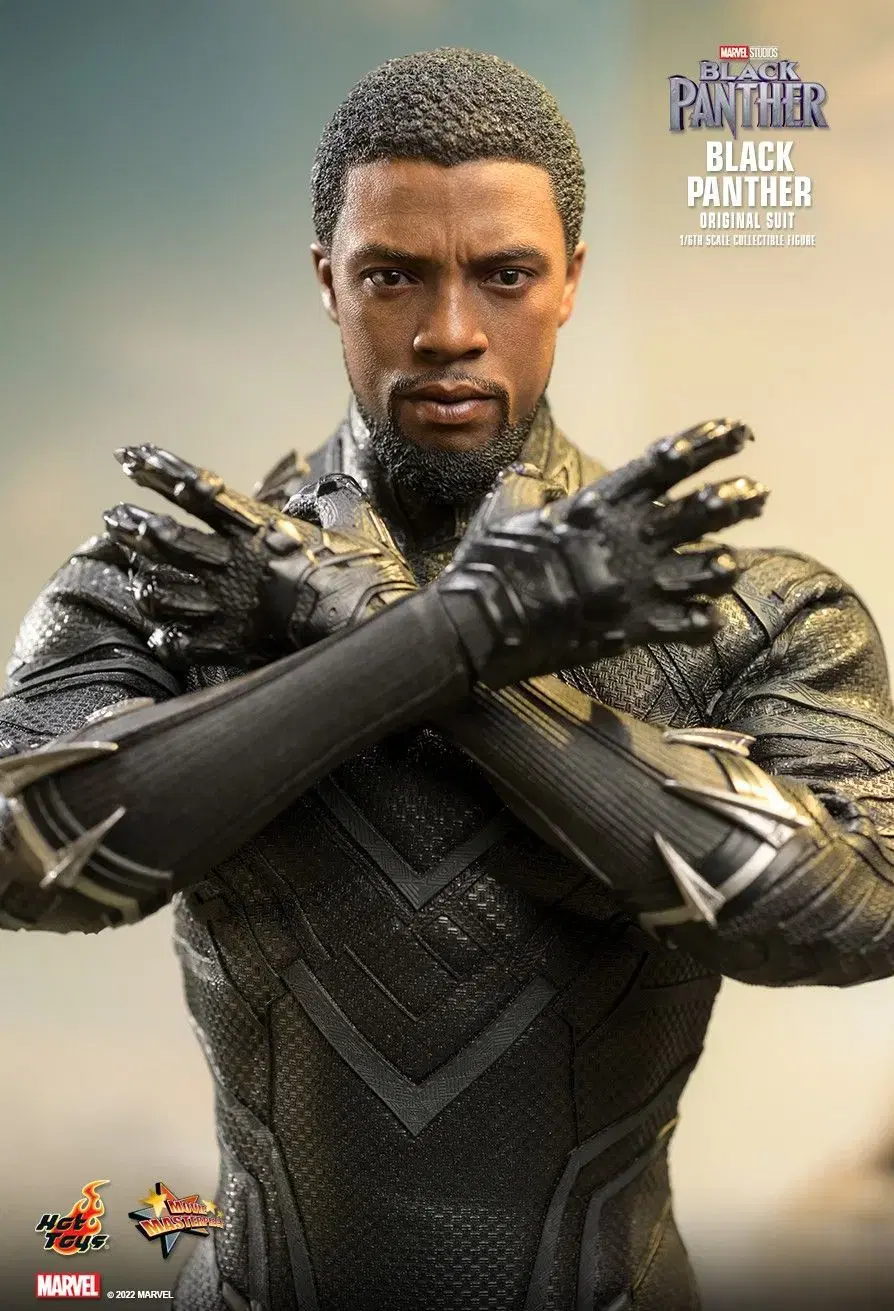 Hot Toys Black Panther Original Suit Version