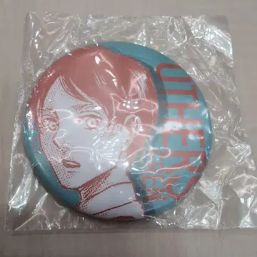 진격의 거인 스쿨 카스트 엘렌 예거 캔뱃지