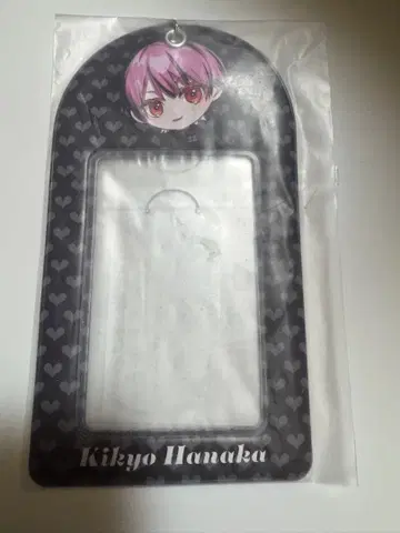 AVAM 기코카 인스턴트 사진 폴더