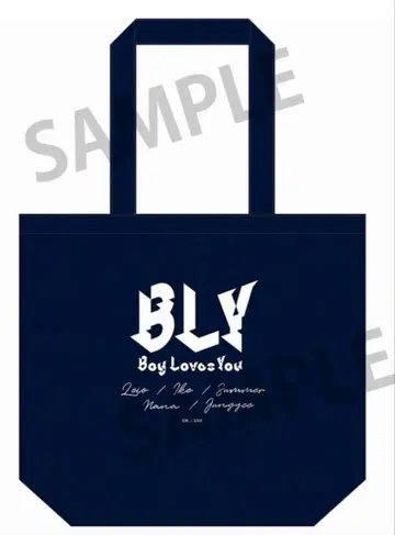 코우키. 당신의 이름은 아이돌 토트백 가방 토트 데일리 토트 예약 상품