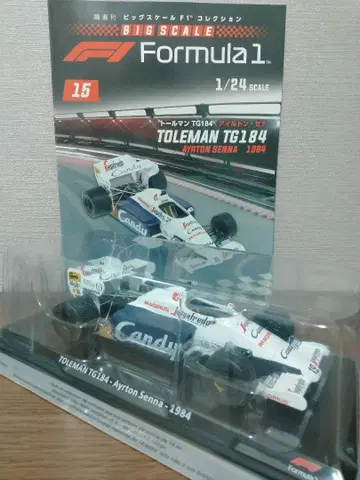 1/24 빅 스케일 F1 컬렉션 15호