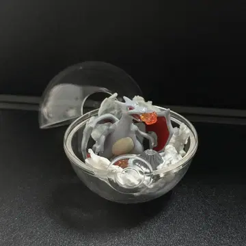 리자몽 포켓몬 테라리움 컬렉션 2 색상 리페인트