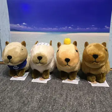 노호혼 카피바라짱 좋은 온천이네 봉제 인형 전종 세트