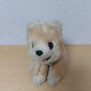 포메라니안 슌스케 봉제 인형
