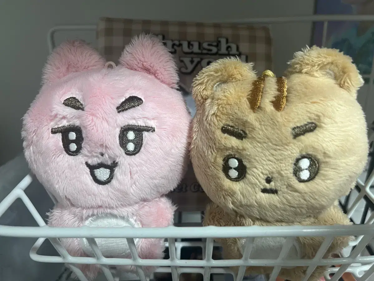 급처 뽀바투 말랑쭌 뽀송텬 투모로우바이투게더수빈연준범규태현휴닝카이