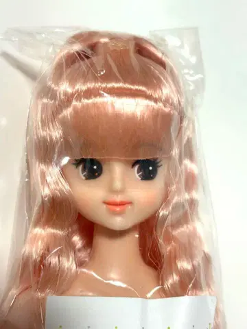 리카짱 캐슬 제니 프렌드 오타즈미 인형 주디