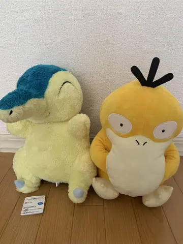 포켓몬 봉제 인형