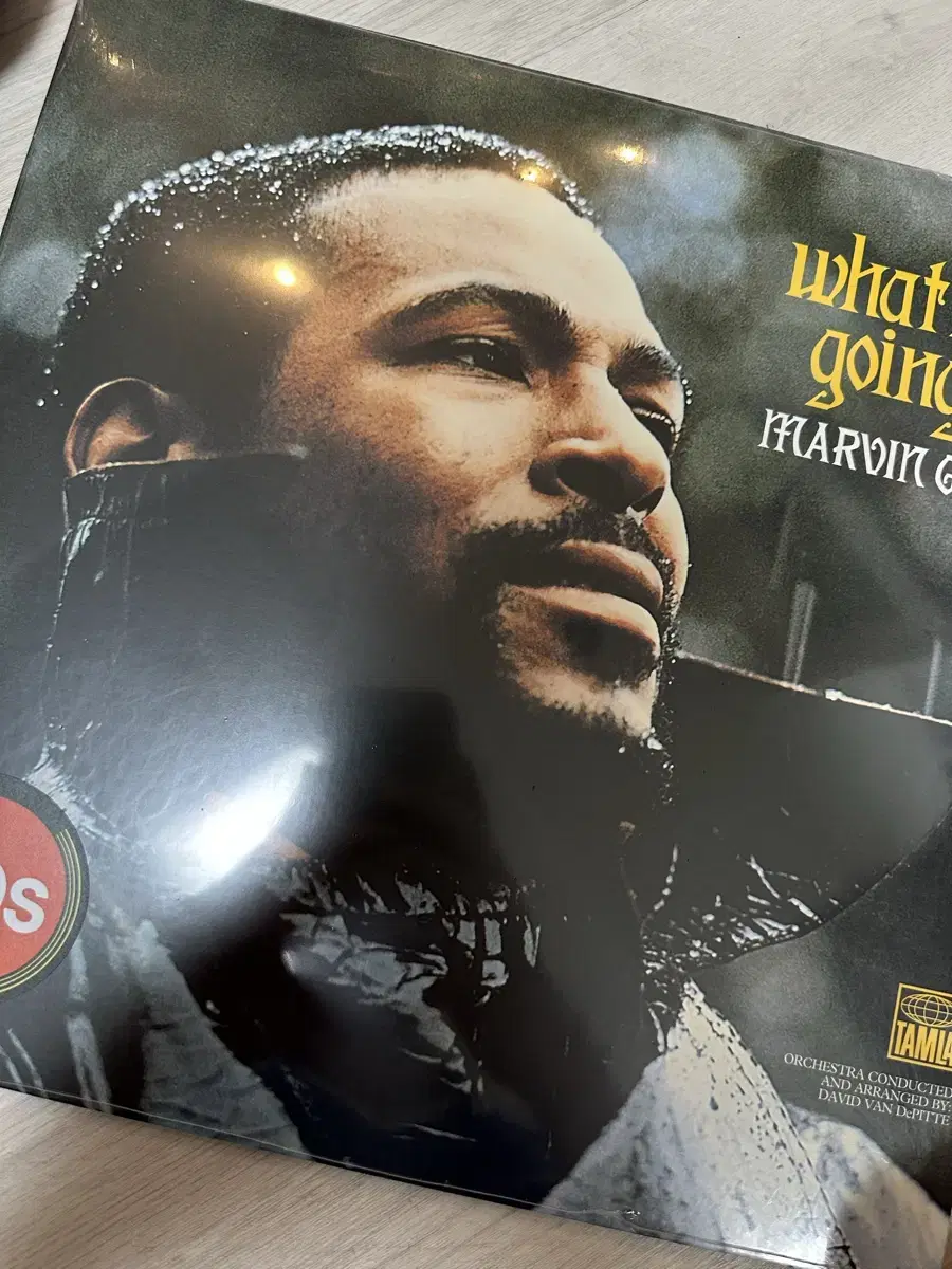 Marvin Gaye LP Forest Green Limited Edition