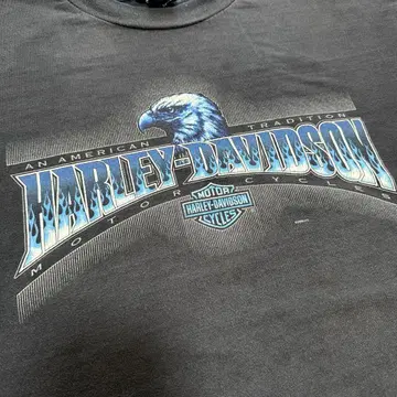 00s HARLEY DAVIDSON 이글 블루 프레임 페이드
