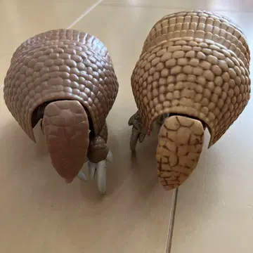 생물대도감 아르마딜로 2개