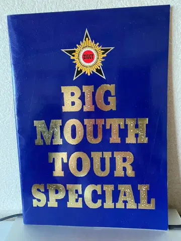 ZIGGY 투어 팜플렛