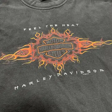 00s HARLEY DAVIDSON 프레임 파이어 페이드
