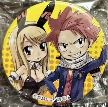 FAIRYTAIL 페어리 테일 원화전 캔뱃지 나츠 루시