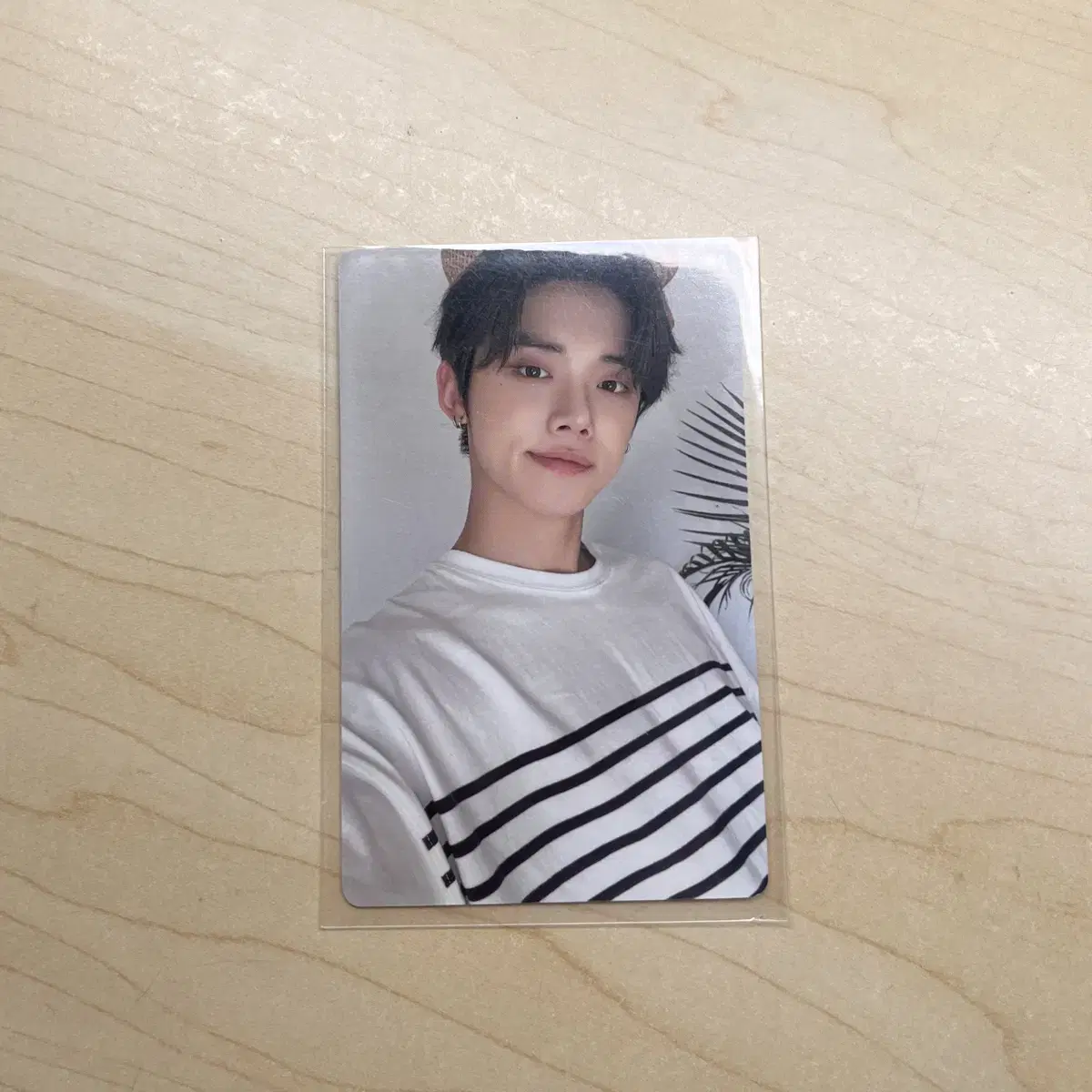 투바투 연준 시그 홈