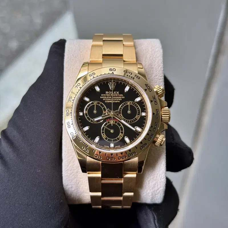 Dan Jackson ダンジャクソン　バックル Shop 116508 on Bunjang Global Site - No more Korean account!