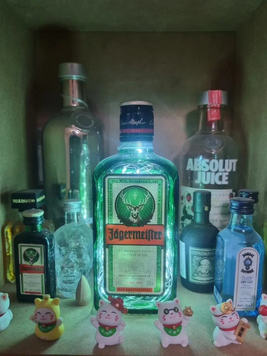 DIY sool bottle mood lamp for sale