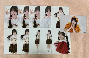 카와모토 에루 브로마이드 11장 세트