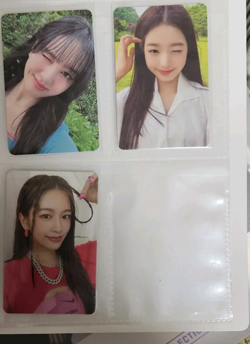 아이브 포토카드 (유진,원영,리즈)