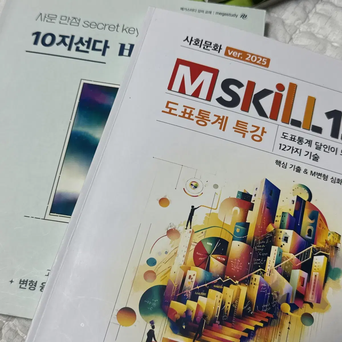 윤성훈T 2025 엠스킬 도표특강 10지선다 사문
