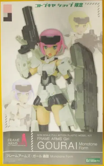 코토부키야 프레임 암즈 걸 토도 레이 모노톤 폼