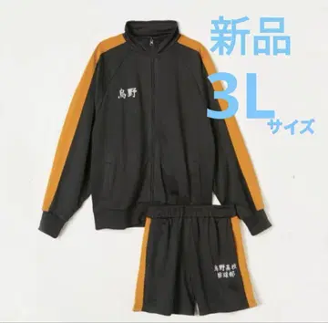 하이큐 카라스노 저리 셋업
