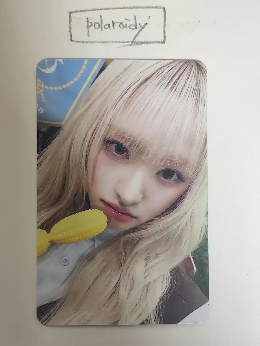 아이브 리즈 스카웃콘 스페셜포카 양도