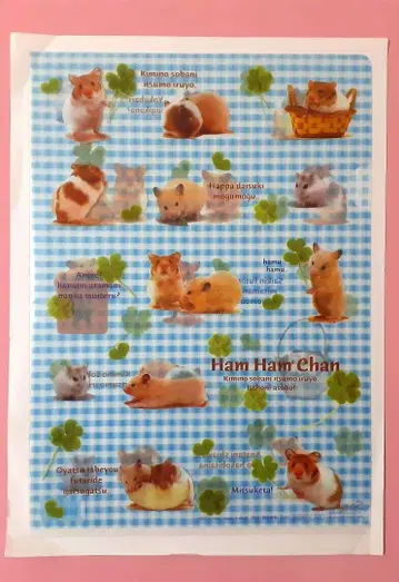 산엑스 햄햄짱 클리어 파일 햄스터 헤이세이 레트로