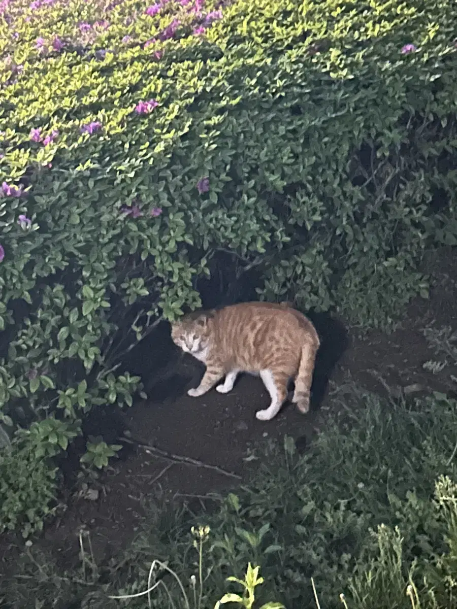 예븐나님 거래용