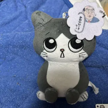 반다이 고양이로 환생한 아저씨의 봉제 인형