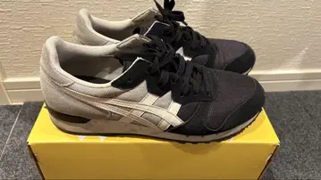 오니츠카타이거