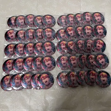 파라라이  링가  요약