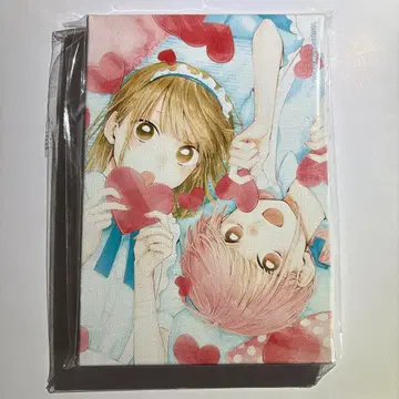 푸른 상자 아트 보드 JCS 한정판 미개봉 새상품