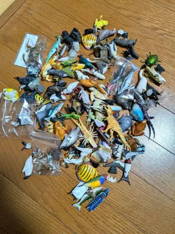 생물 피규어 정리 중고품