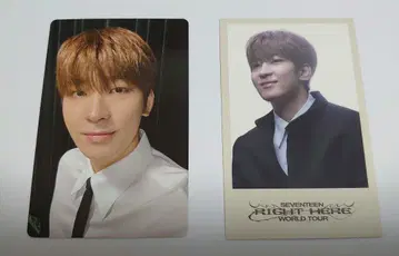 세븐틴 RIGHT HERE WORLD TOUR WONWOO