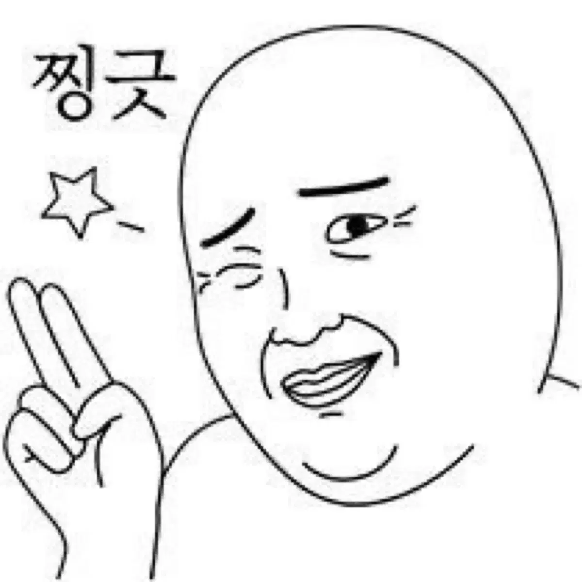 [2배 이벤트!!+증명사진]보넥도 랜박 비공굿도무송 태산재현 무나