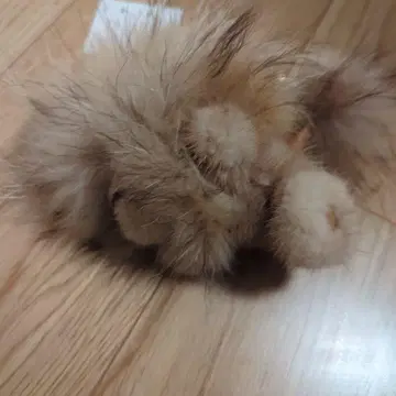사자 모양 봉제 인형 키링