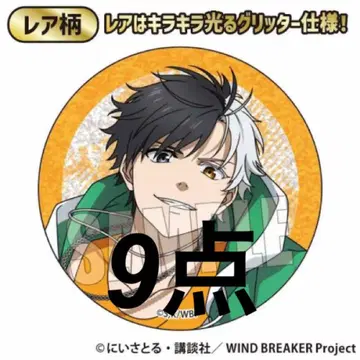 WIND BREAKER 윈브레이커 사쿠라 요코 캔뱃지 글리터 스케이터
