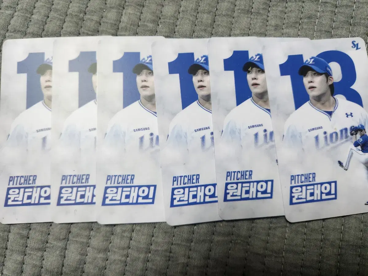 25 Season Won Tae-in Blue Forkin