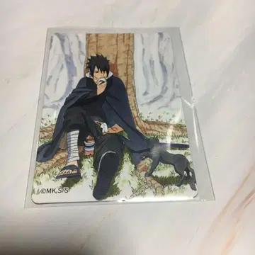 우리 집은 사스케