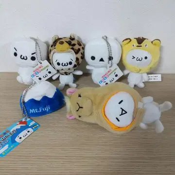 카오모지누코 카오모지 기구미 세트
