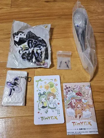 TinyFox 버터플라이 쿠노이치 1/6 스케일 카카후 아웃핏 외