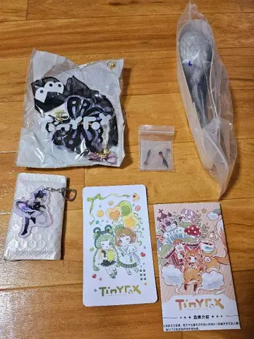 TinyFox 버터플라이 쿠노이치 1/6 스케일 카카후 아웃핏 외