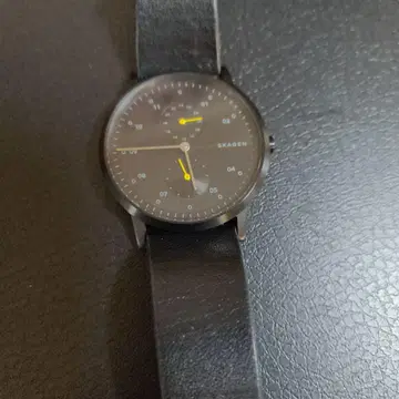 skagen 남성용 손목시계