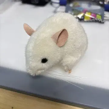 케이센 kosen 봉제 인형 쥐 마우스 쥐