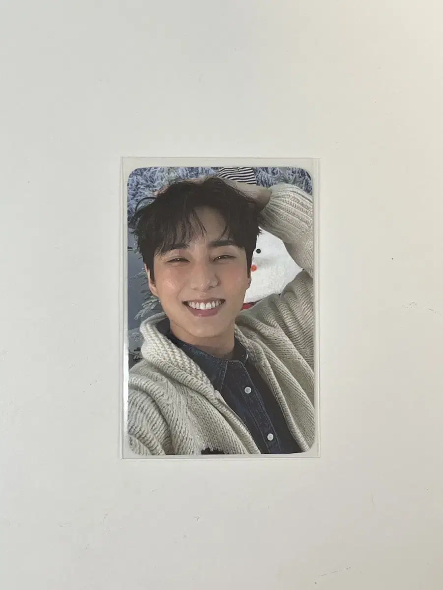 영케이 포카 클콘 포카 데이식스