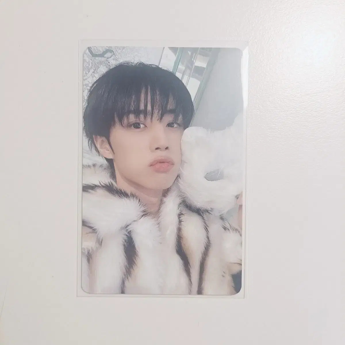 The Boyz Poca Market Sunwoo Poca WTS