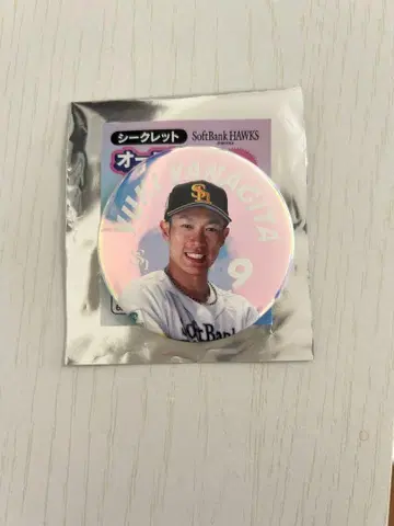 소프트뱅크 호크스 야나기타 유키 오로라 캔뱃지