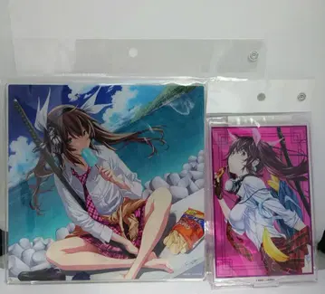 일기당천 손권 중모 아크릴 보드 & 아크릴 피규어